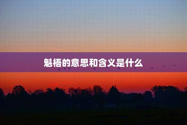 魁梧的意思和含义是什么