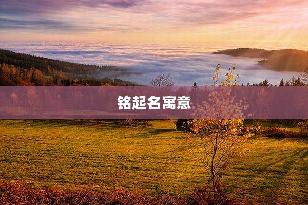 铭起名寓意