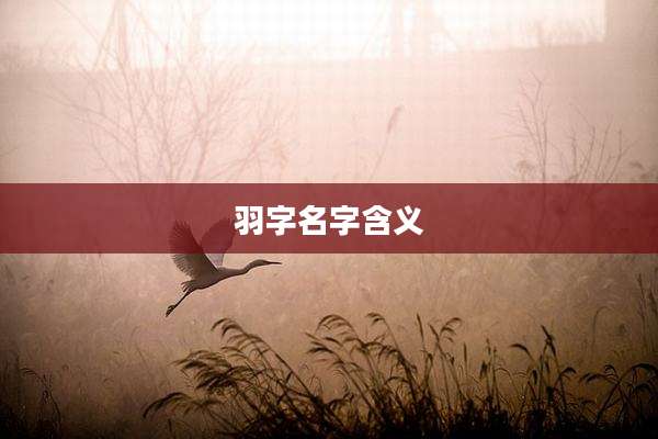 羽字名字含义