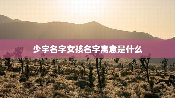 少宇名字女孩名字寓意是什么