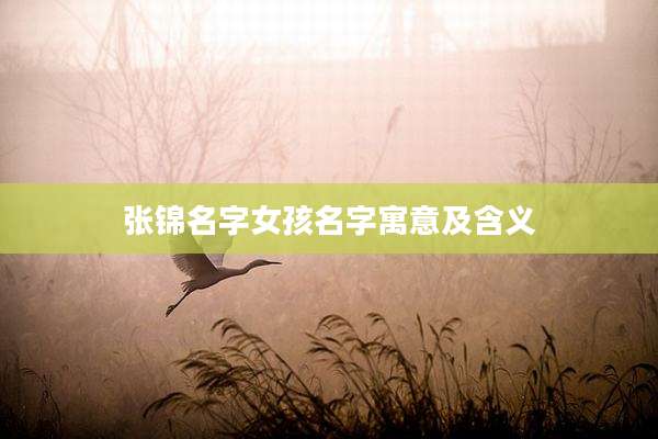 张锦名字女孩名字寓意及含义