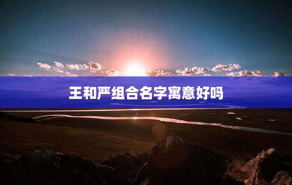 王和严组合名字寓意好吗