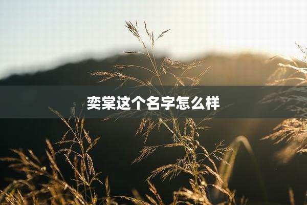 奕棠这个名字怎么样
