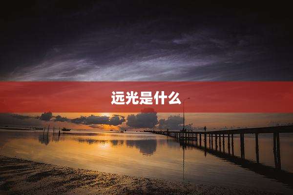 远光是什么