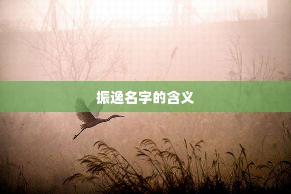 振逸名字的含义