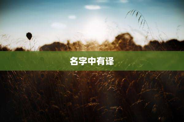 名字中有译