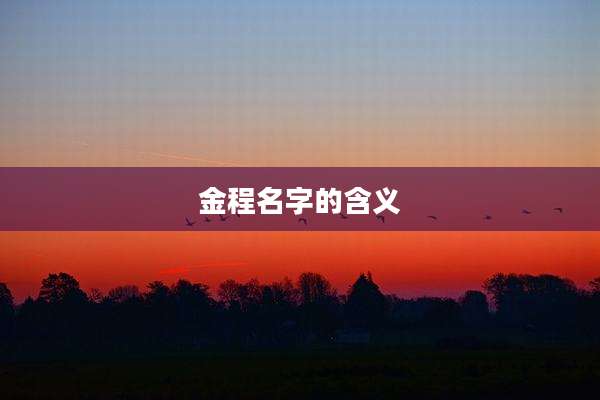 金程名字的含义
