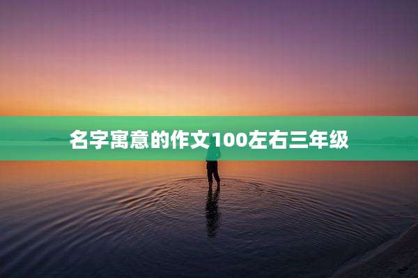 名字寓意的作文100左右三年级