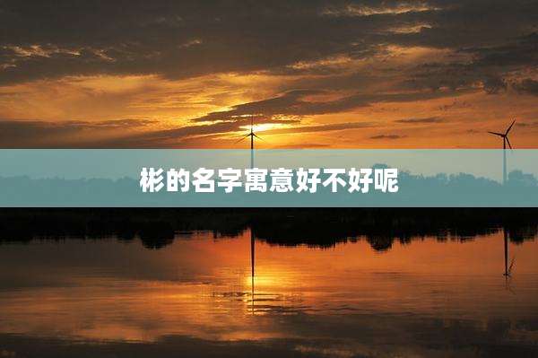 彬的名字寓意好不好呢