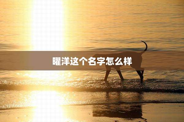 曜洋这个名字怎么样