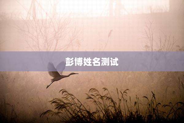 彭博姓名测试