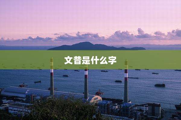 文昔是什么字