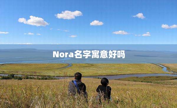 Nora名字寓意好吗