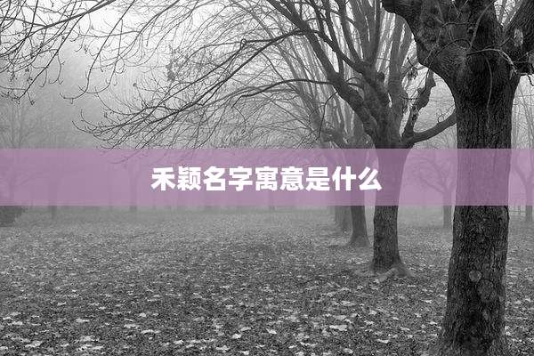 禾颖名字寓意是什么