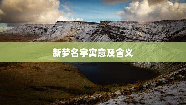 新梦名字寓意及含义