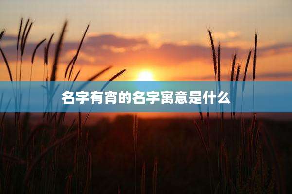 名字有宵的名字寓意是什么