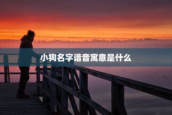 小狗名字谐音寓意是什么