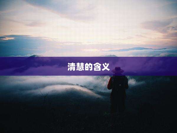 清慧的含义