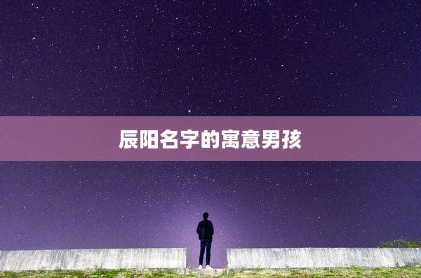 辰阳名字的寓意男孩