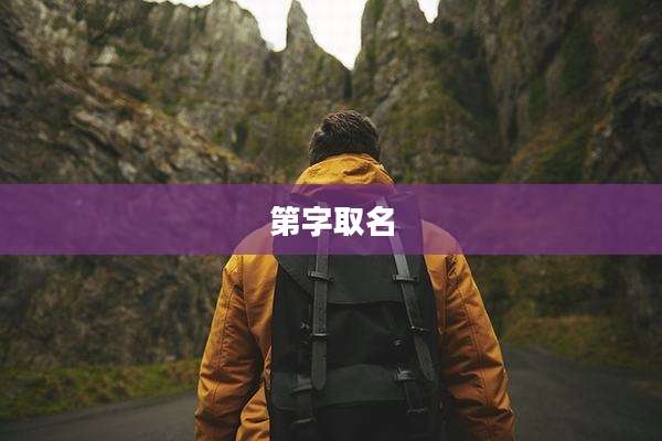 第字取名