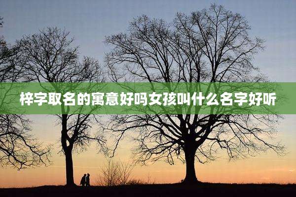 梓字取名的寓意好吗女孩叫什么名字好听