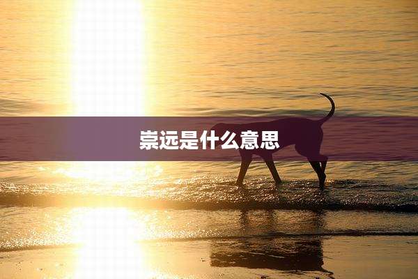崇远是什么意思