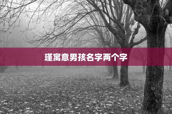 瑾寓意男孩名字两个字