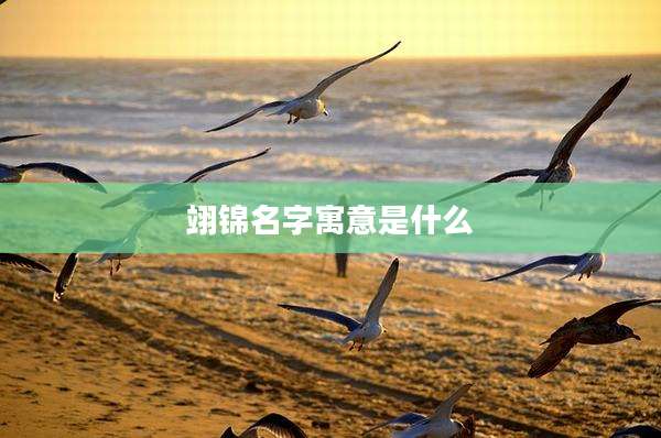 翊锦名字寓意是什么