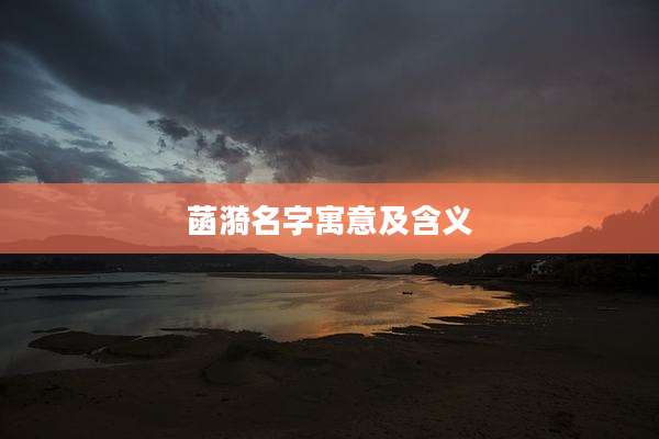 菡漪名字寓意及含义
