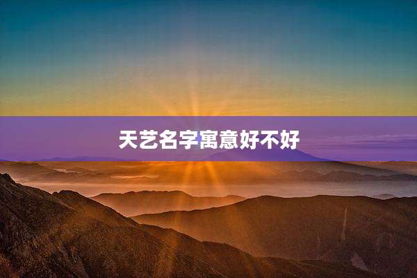 天艺名字寓意好不好