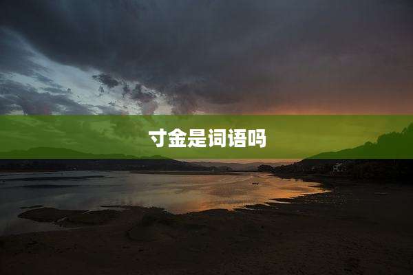 寸金是词语吗