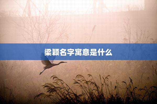 梁颖名字寓意是什么