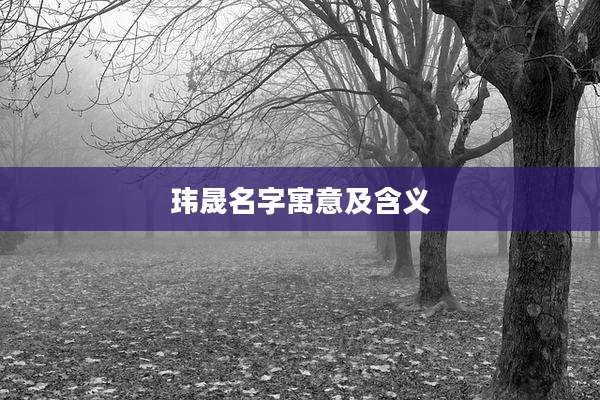 玮晟名字寓意及含义
