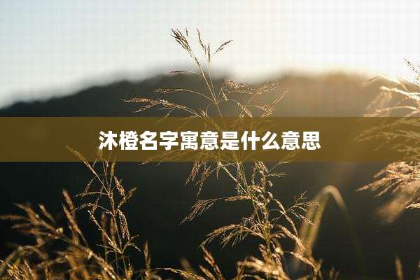 沐橙名字寓意是什么意思