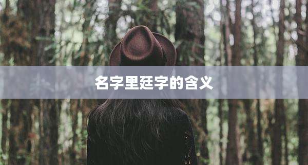 名字里廷字的含义