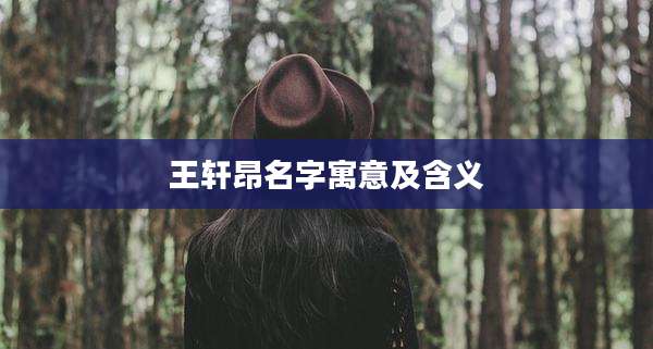 王轩昂名字寓意及含义