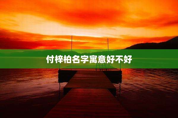 付梓柏名字寓意好不好