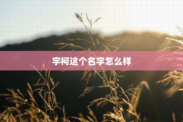 宇柯这个名字怎么样