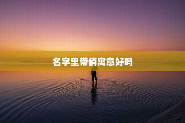 名字里带俏寓意好吗