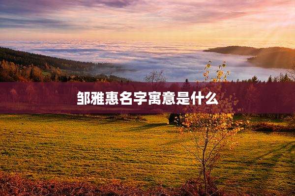 邹雅惠名字寓意是什么