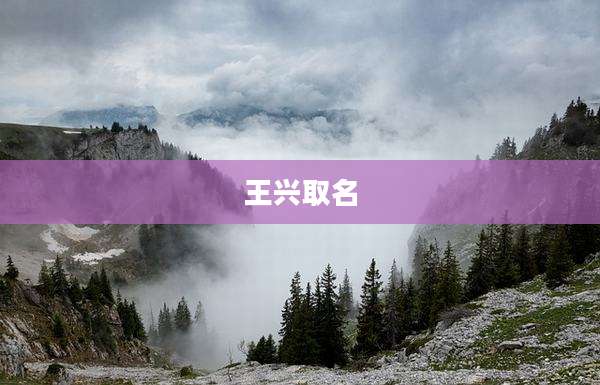 王兴取名