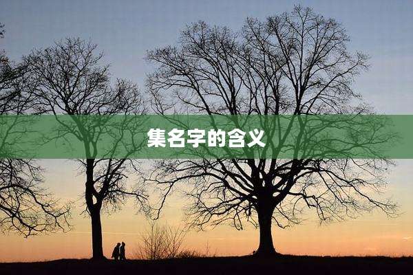 集名字的含义