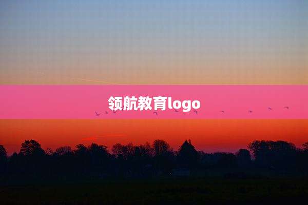 领航教育logo