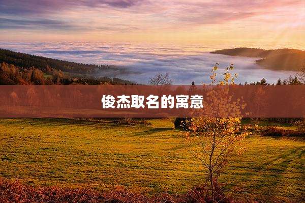 俊杰取名的寓意