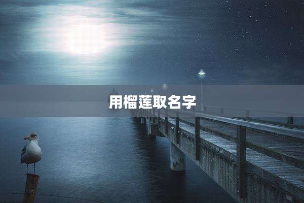 用榴莲取名字