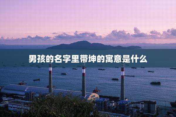 男孩的名字里带坤的寓意是什么