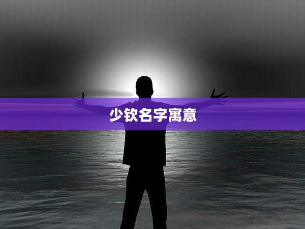 少钦名字寓意