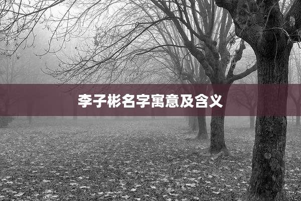 李子彬名字寓意及含义