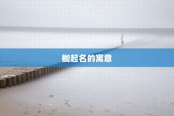 枷起名的寓意