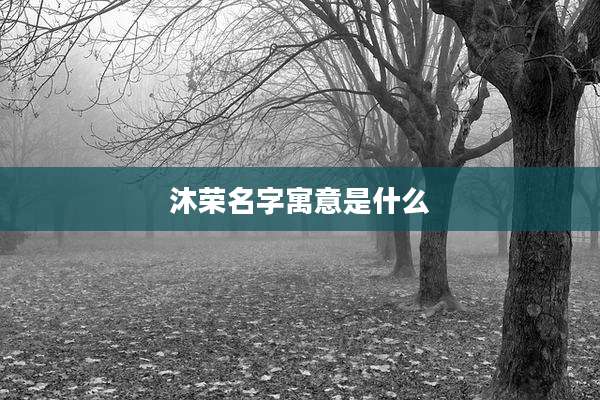 沐荣名字寓意是什么
